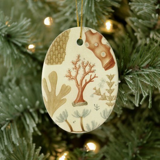 科学教科書生物学ヴィンテージサンゴ動物 セラミックオーナメント (ツリー)