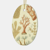 科学教科書生物学ヴィンテージサンゴ動物 セラミックオーナメント (左)