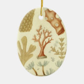 科学教科書生物学ヴィンテージサンゴ動物 セラミックオーナメント (正面)