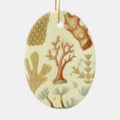 科学教科書生物学ヴィンテージサンゴ動物 セラミックオーナメント (裏面)