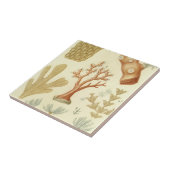 科学教科書生物学ヴィンテージサンゴ動物 タイル (側面)