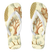 科学教科書生物学ヴィンテージサンゴ動物 ビーチサンダル (フットベッド)