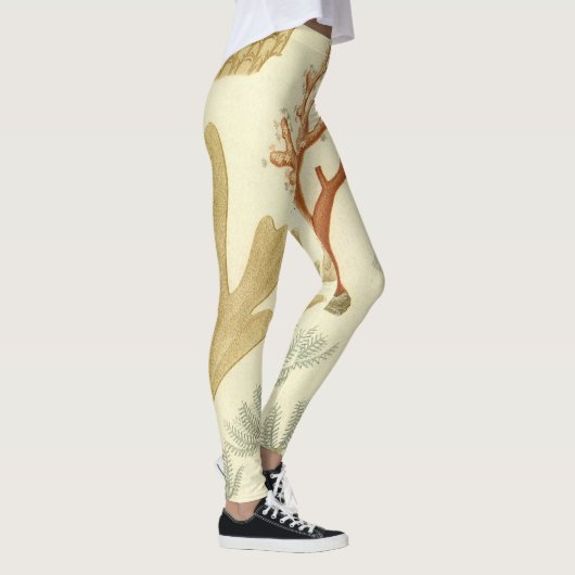 科学教科書生物学ヴィンテージサンゴ動物 レギンス (右)