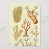 科学教科書生物学ヴィンテージサンゴ動物 招待状 (正面/裏面)