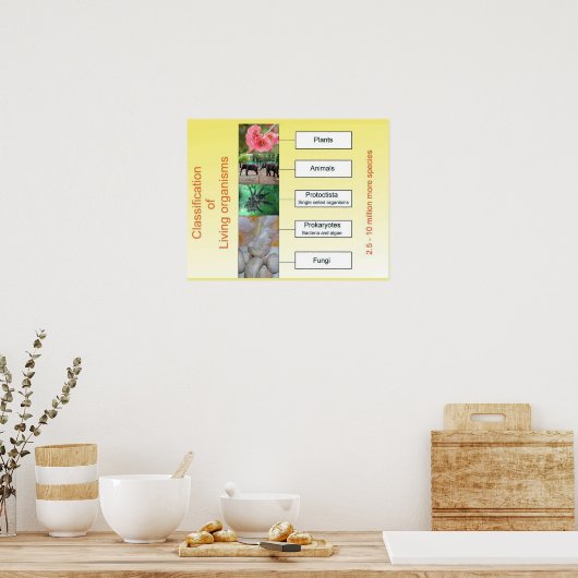 科学生物分類 ポスター (キッチン)