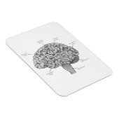 科学的な脳 マグネット (右側)
