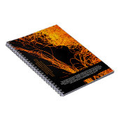 科学者は…クライン引用文と細菌 ノートブック (右側)