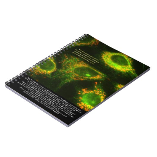 科学者は…引用文とミトコンドリアの把握 ノートブック (左側)