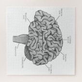 科学脳 ジグソーパズル (横)