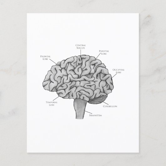 科学脳 チラシ (正面)