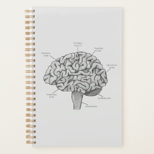 科学脳 プランナー手帳 (正面)