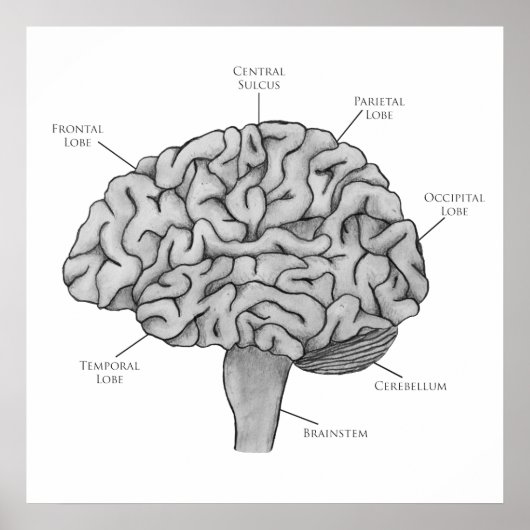 科学脳 ポスター (正面)