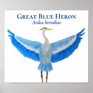 科学鳥の水色ブルー素晴らしヘロン ポスター