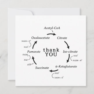 科学 ありがとう 先生 クレブスの回路 生物学