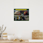 科学、ガラパゴスの動物 ポスター (キッチン)