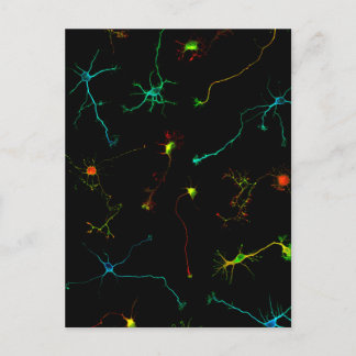 科学 ポストカード