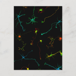 科学 ポストカード