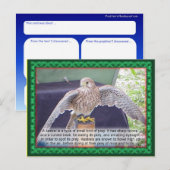 科学、動物、鳥、ケストレル ポストカード (正面/裏面)