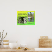 科学、化学、ソリューション、環境 ポスター (キッチン)