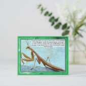 科学、昆虫、祈マンティス ポストカード (スタンド正面)