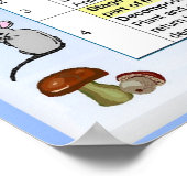 科学、栄養、食物連鎖のステージ ポスター (角)