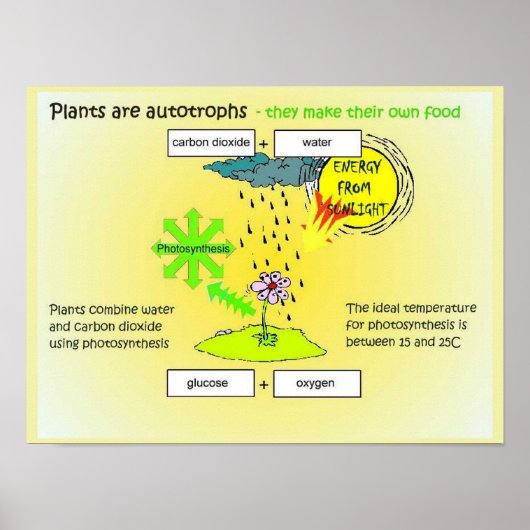 科学、植物、サイン、食品 ポスター (正面)