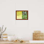 科学、植物、生殖、風媒受粉 ポスター (キッチン)