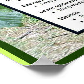 科学、植物、葉の一部 ポスター (角)