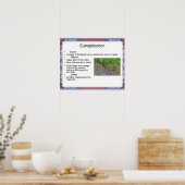 科学、環境化学、富栄養化 ポスター (キッチン)