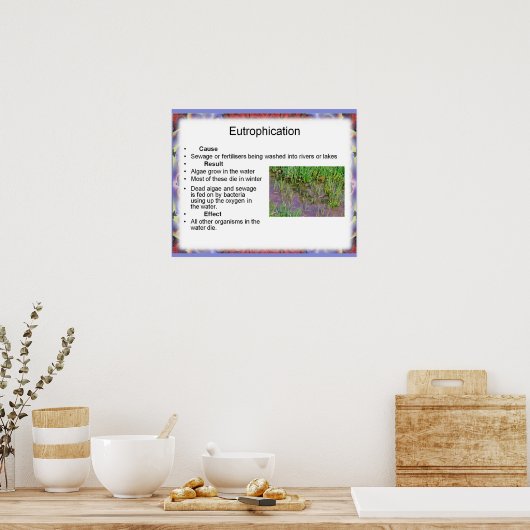 科学、環境化学、富栄養化 ポスター (キッチン)