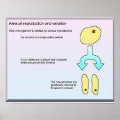 科学・生命科学無性生殖 ポスター (正面)
