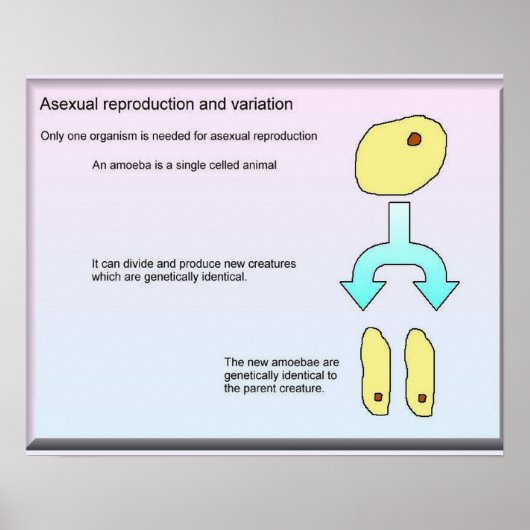 科学・生命科学無性生殖 ポスター (正面)