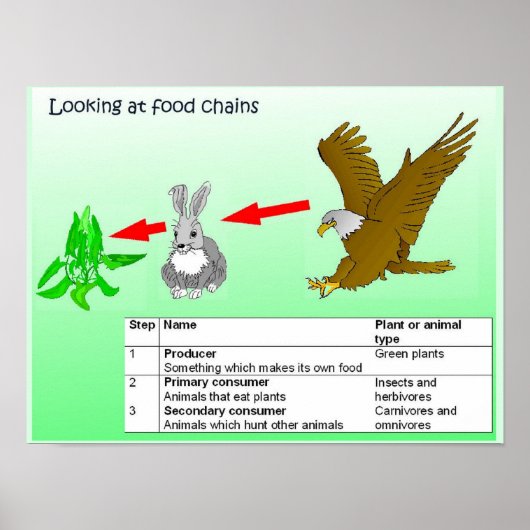 科学、食物連鎖を見る ポスター (正面)