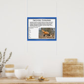 科学、食物連鎖、二次消費者 ポスター (キッチン)