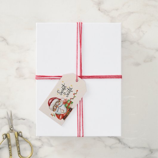 秘密のサンタクリスマスギフトタグ ギフトタグ (より糸付き)