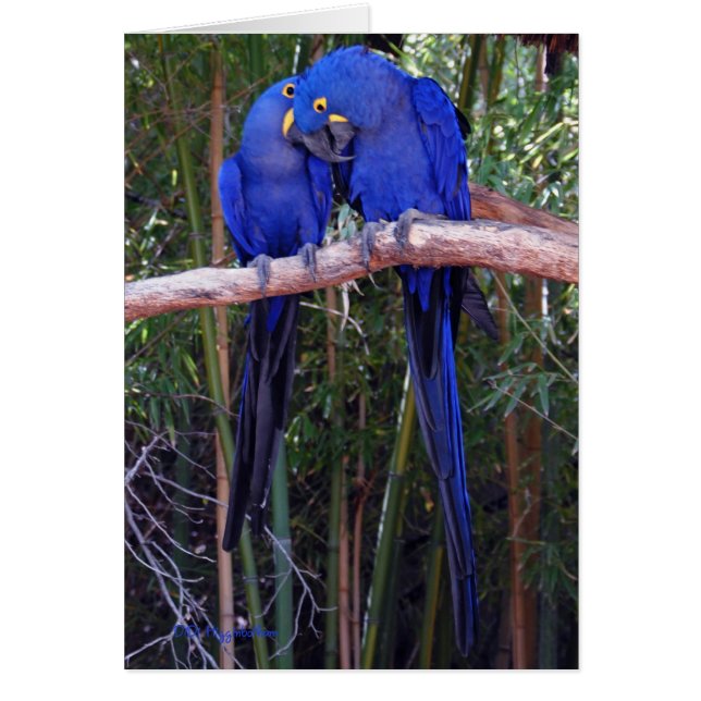 秘密の共有 (正面)