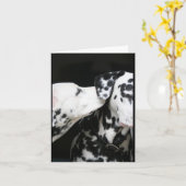 秘密の共有 カード (黄色い花)