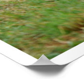 秘密の場所ホワイトホースのフィールドのポスター ポスター (角)