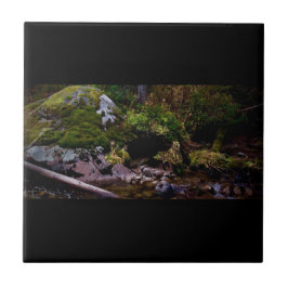 秘密の場所 タイル