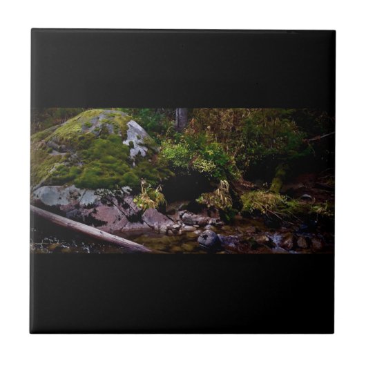 秘密の場所 タイル (正面)