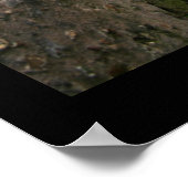 秘密の場所 ポスター (角)