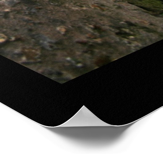 秘密の場所 ポスター (角)