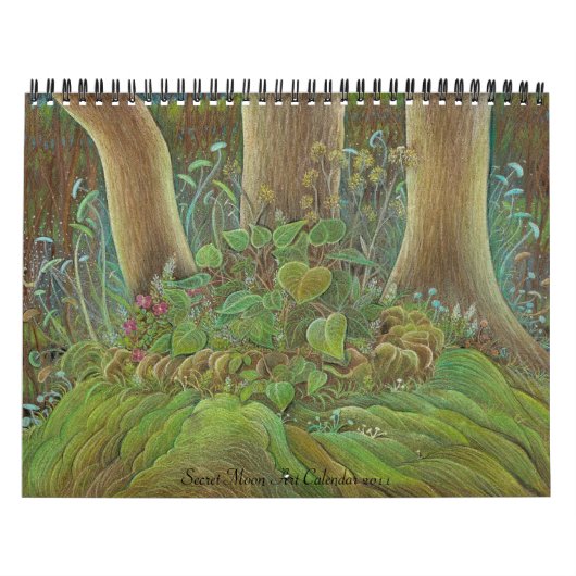 秘密の月の芸術のカレンダー2011年 カレンダー (カバー)