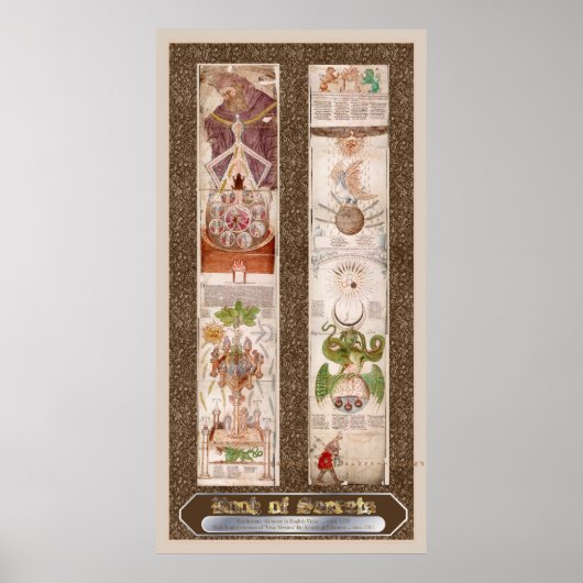 秘密の本「Visio Mystica」錬金術ポスター ポスター (正面)