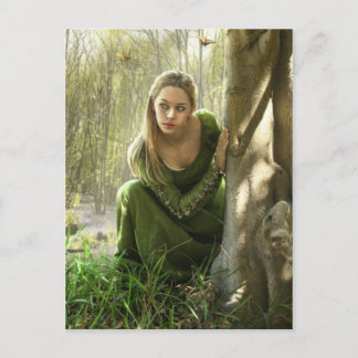 秘密の森のポストカード ポストカード