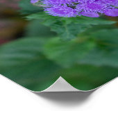 秘密の植物の秘密の虫 ポスター (角)
