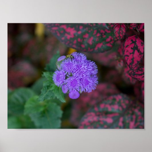 秘密の植物の秘密の虫 ポスター (正面)