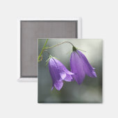 秘密の磁石の鐘 マグネット (正面/裏面)