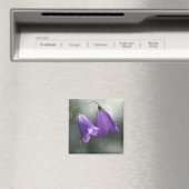 秘密の磁石の鐘 マグネット (インサイチュ (食洗機))