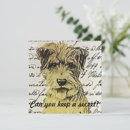 秘密を保持てる？ 招待状 (スタンド正面)